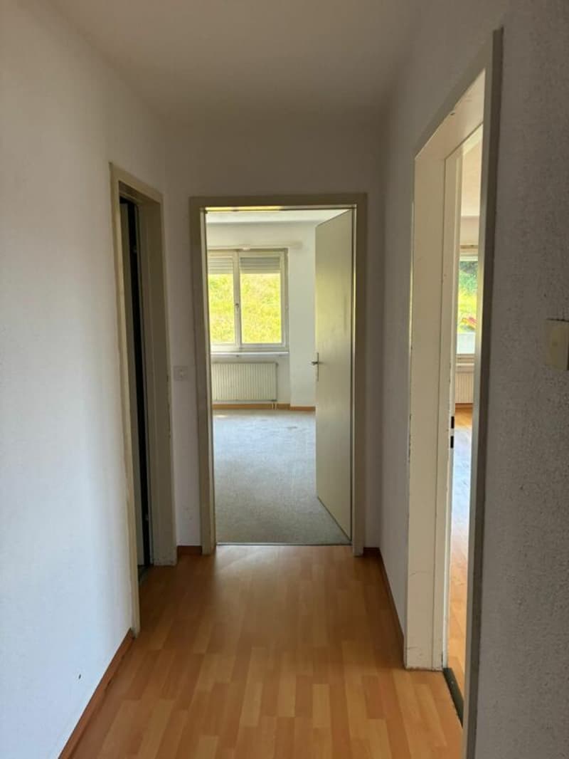3½-Zimmerwohnung in Ebikon (3)