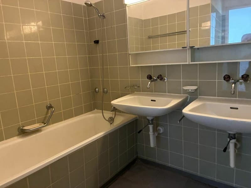 3½-Zimmerwohnung in Ebikon (4)