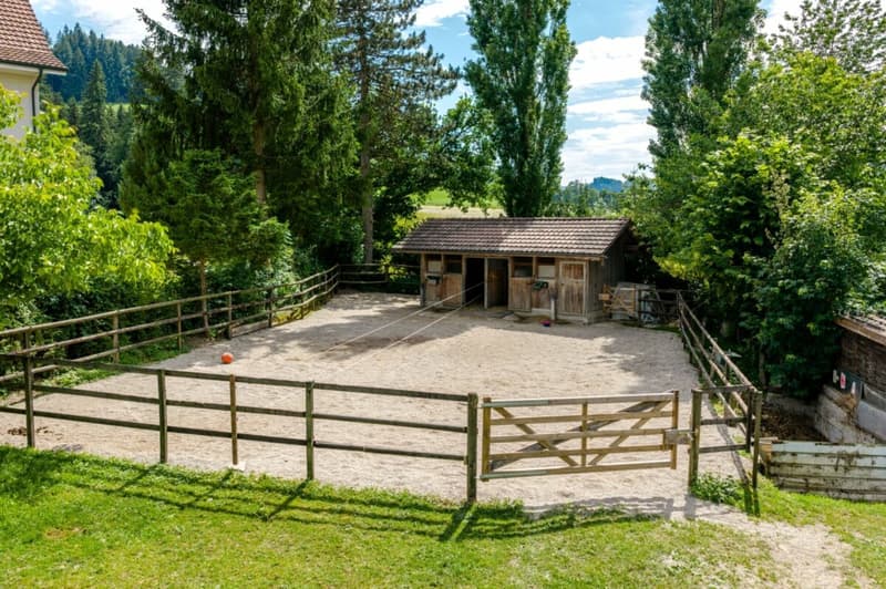 Bauernhaus mit 4 Wohnungen und Pferdestall auf grosszügigem Grundstück an bester Lage (8)