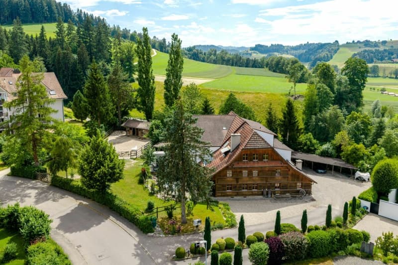 Bauernhaus mit 4 Wohnungen und Pferdestall auf grosszügigem Grundstück an bester Lage (1)