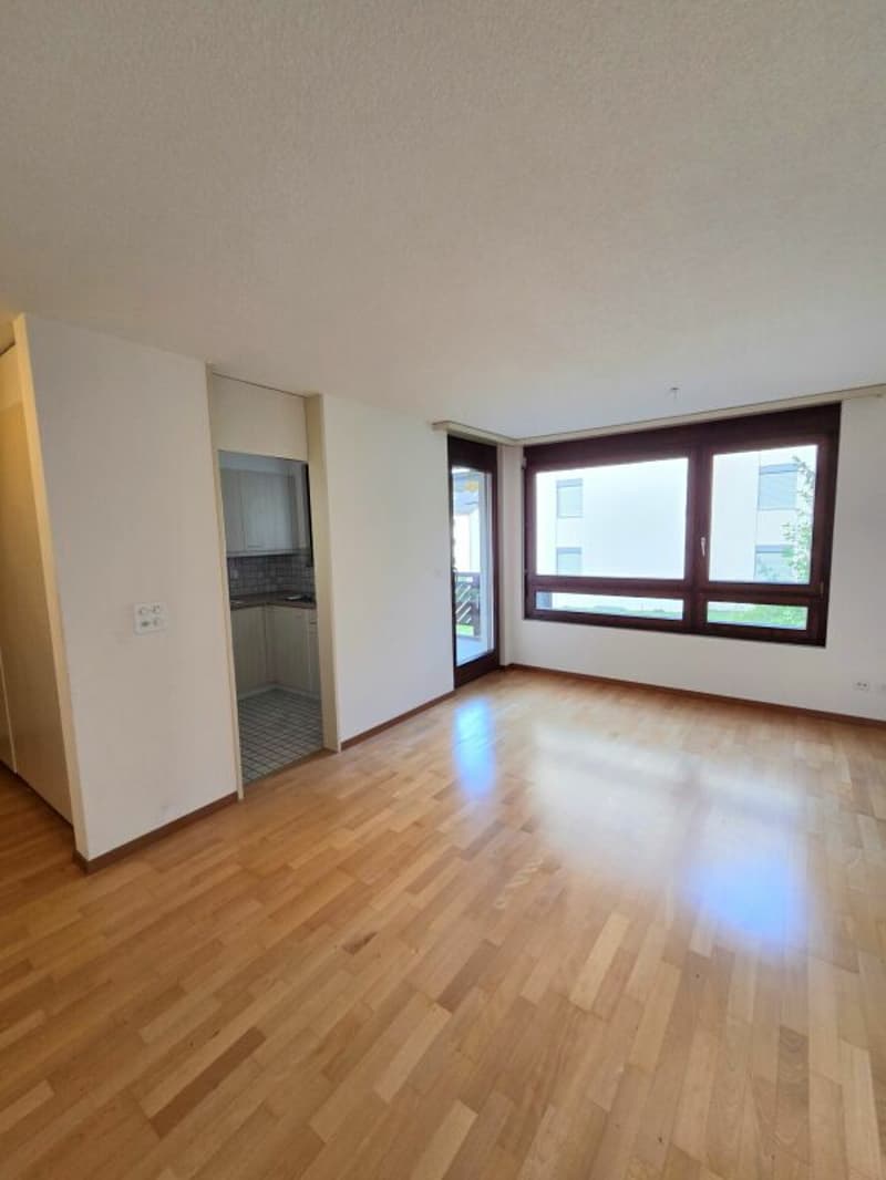 Helle 2½-Zimmerwohnung in Buchrain (1)
