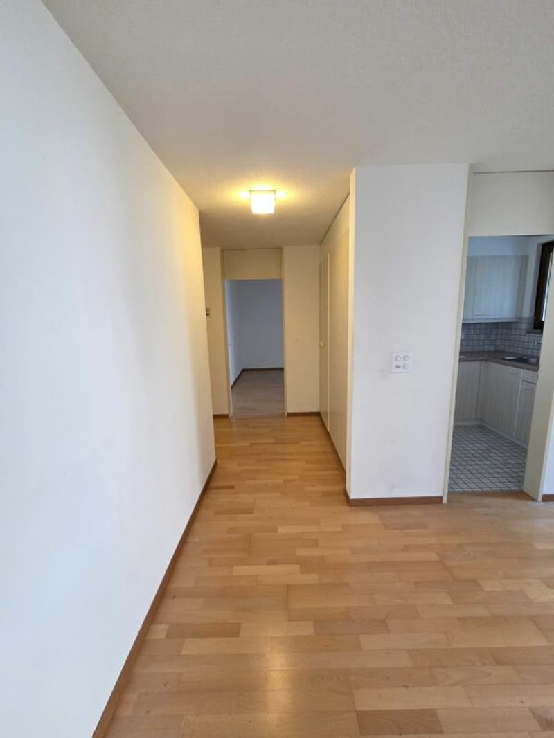 Helle 2½-Zimmerwohnung in Buchrain (3)