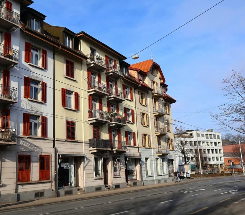 3-Zimmerwohnung mit Altbau-Charakter (1)