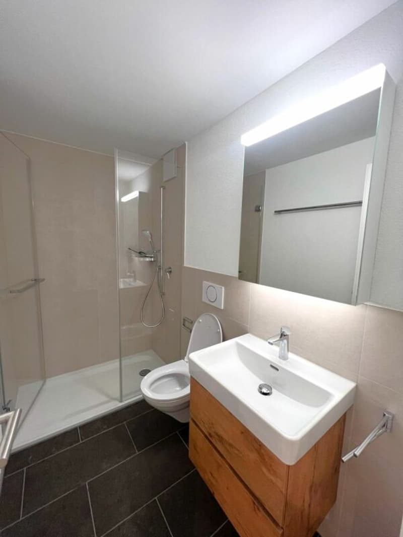 Moderne 1.5 Zimmerwohnung in Zug (3)