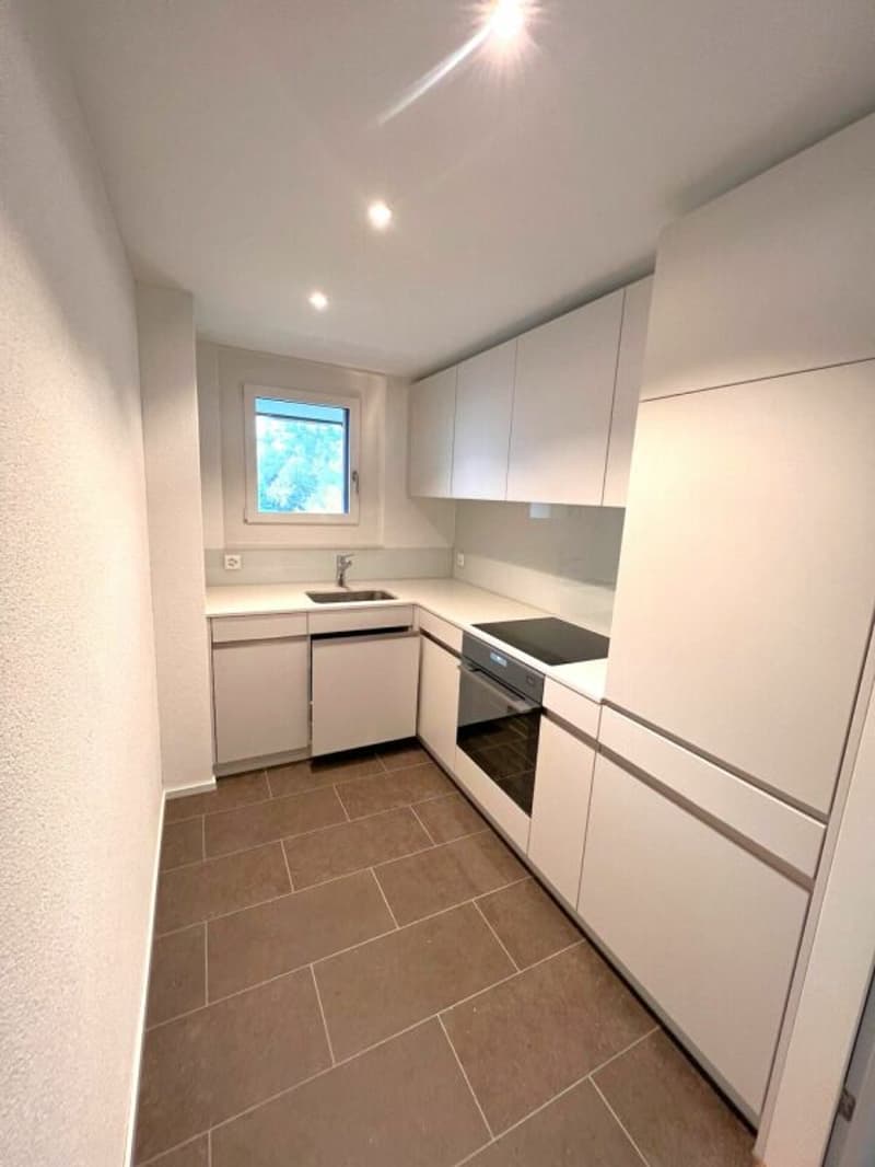 Moderne 1.5 Zimmerwohnung in Zug (2)