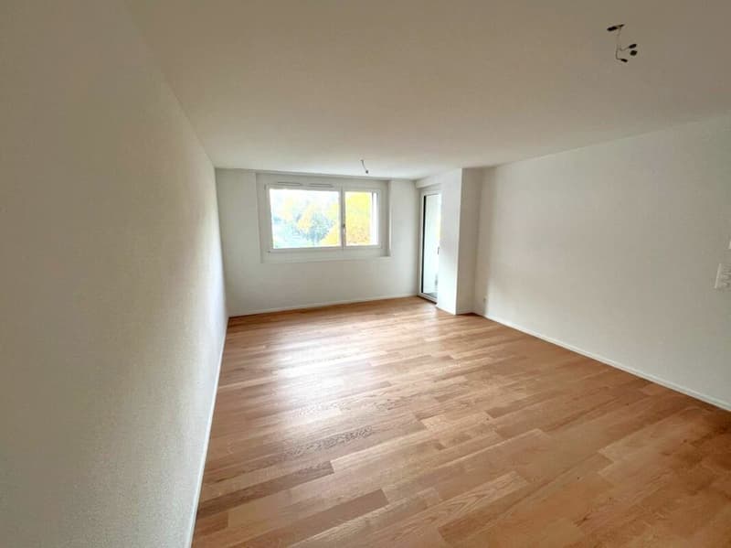 Moderne 1.5 Zimmerwohnung in Zug (1)