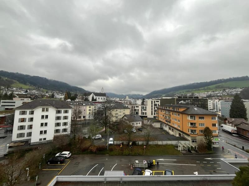1-Zimmerwohnung mit Sicht auf Pilatus (6)
