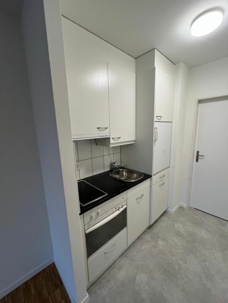 1-Zimmerwohnung mit Sicht auf Pilatus (3)