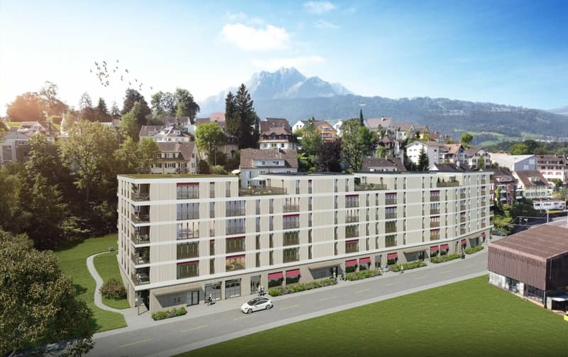 Moderne 2.5-Zimmerwohnung in der Neustadt Luzern (8)