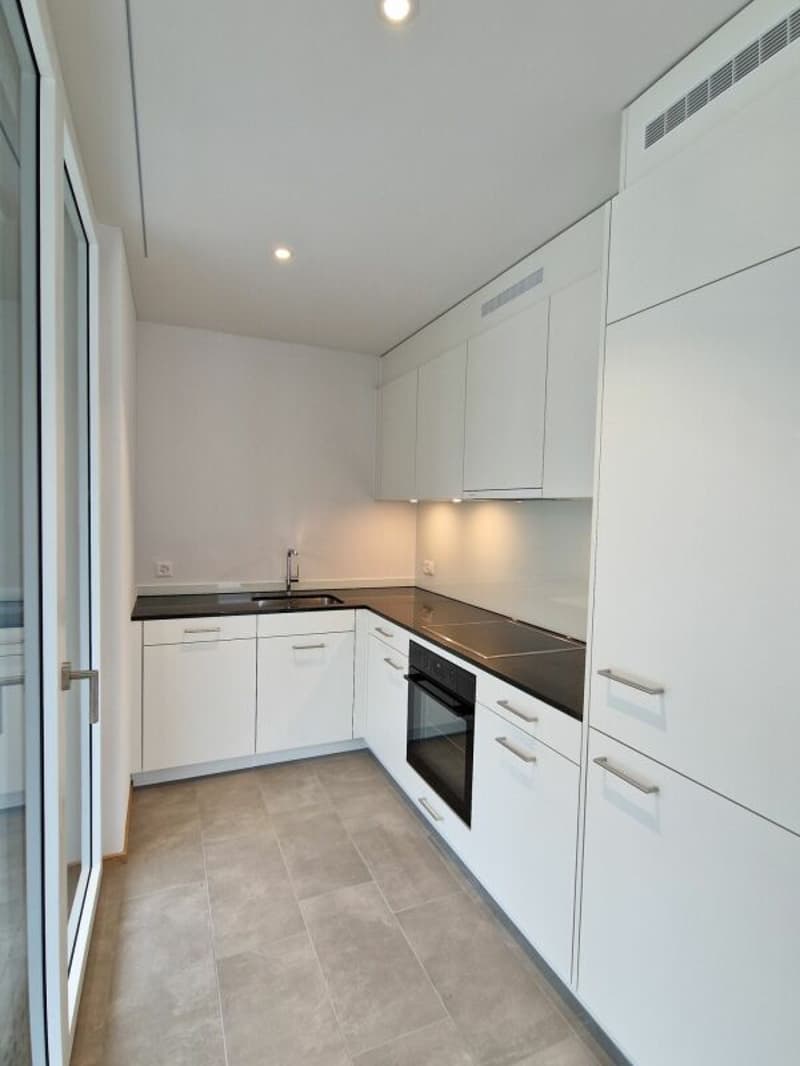 Moderne 2.5-Zimmerwohnung in der Neustadt Luzern (3)