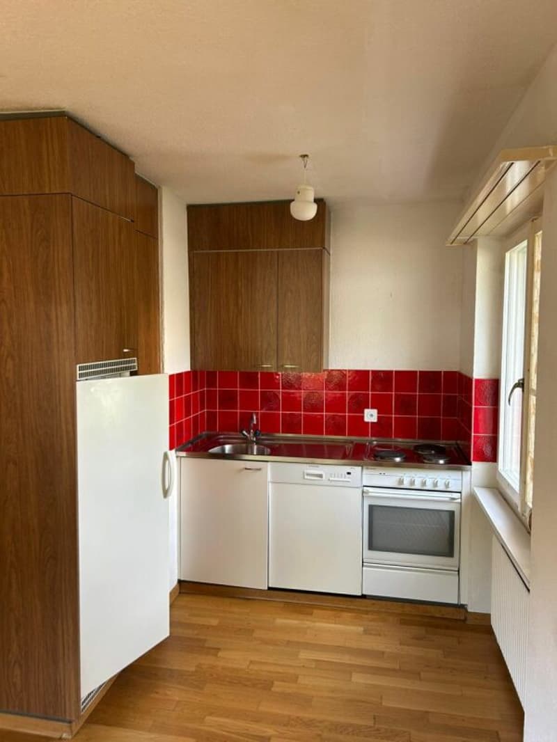 2½-Zimmerwohnung in Ebikon Kopie (2)