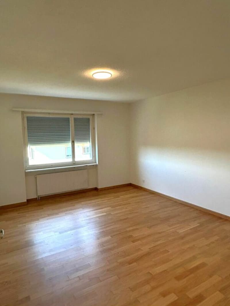 2½-Zimmerwohnung in Ebikon Kopie (4)