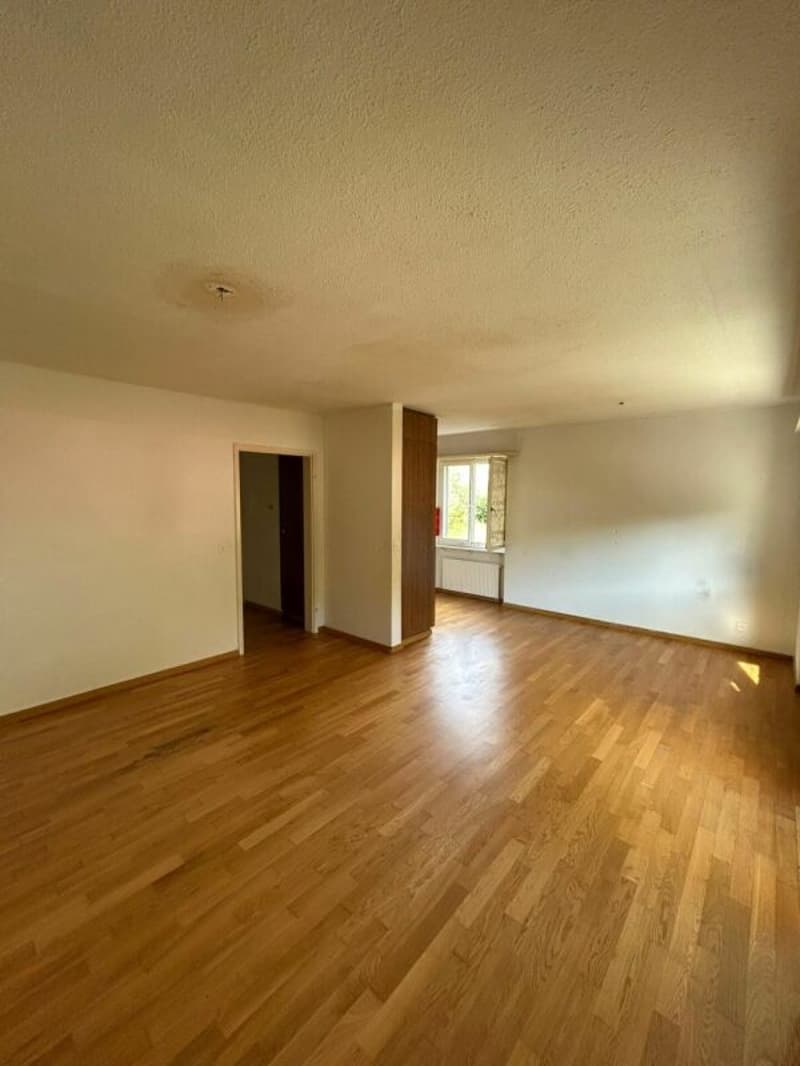 2½-Zimmerwohnung in Ebikon Kopie (3)