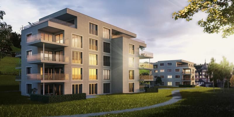 Grosszügige 3.5-Zimmerwohnung (6)