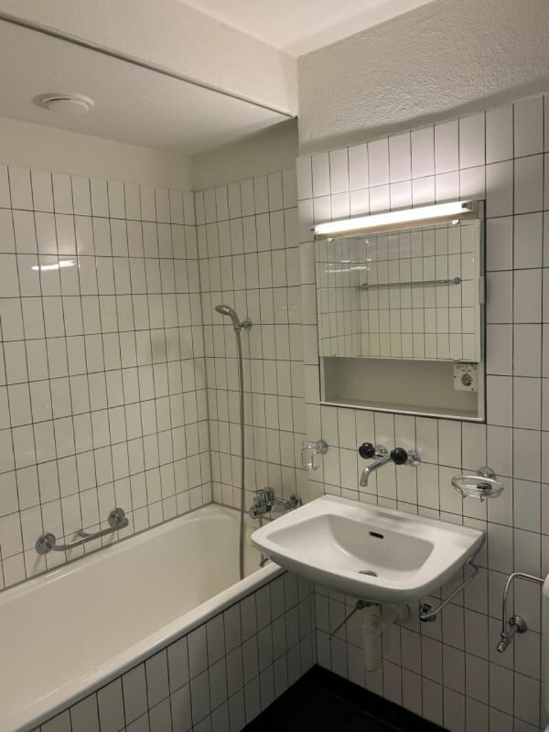 1-Zimmer-Appartement in Luzern (4)