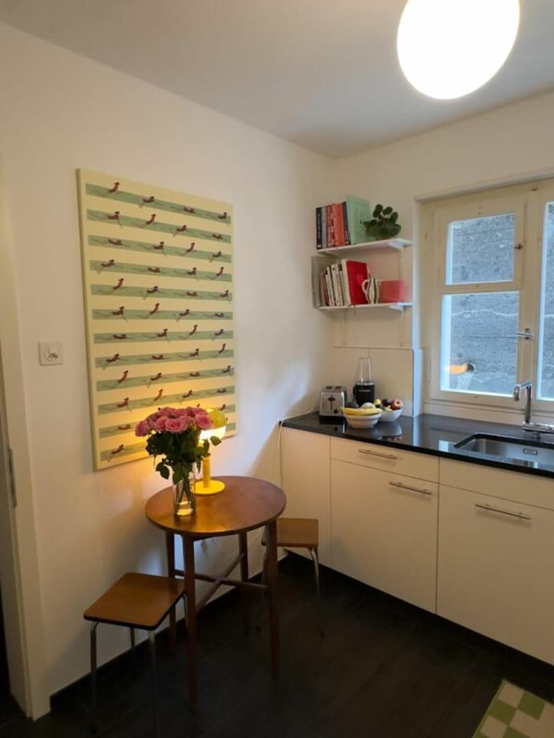 2-Zimmerwohnung in Luzern! (8)