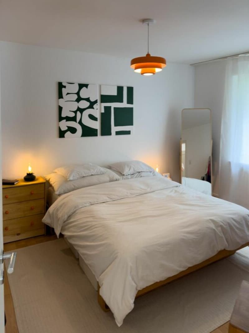 2-Zimmerwohnung in Luzern! (10)