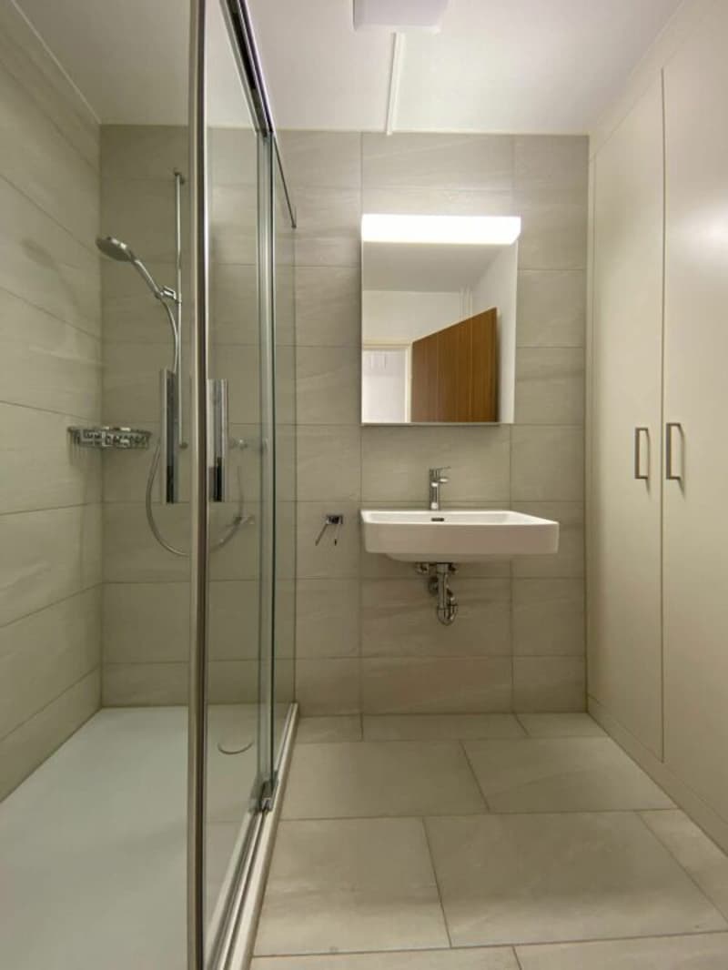 4.5-Zimmerwohnung nähe Altstadt Willisau (11)