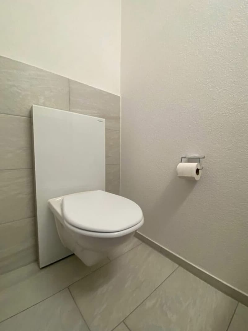 4.5-Zimmerwohnung nähe Altstadt Willisau (12)