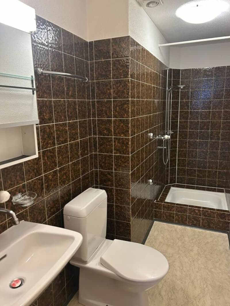 Befristetes Angebot 4-Zimmerwohnung in der Luzerner Neustadt (5)