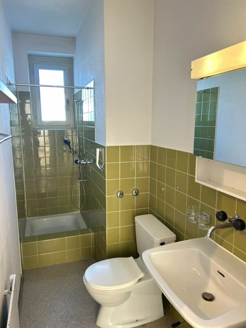 Befristetes Angebot 3.5-Zimmerwohnung in Luzern (5)