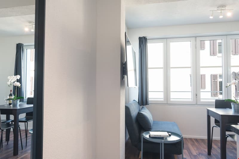 Frisch renovierte möblierte Wohnung in Zürich Wiedikon (2)