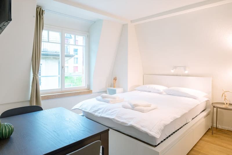 Spacious bedroom with large windows, white walls, hardwood floor, queen-size bed, bedside table, and a small table with a cactus plant