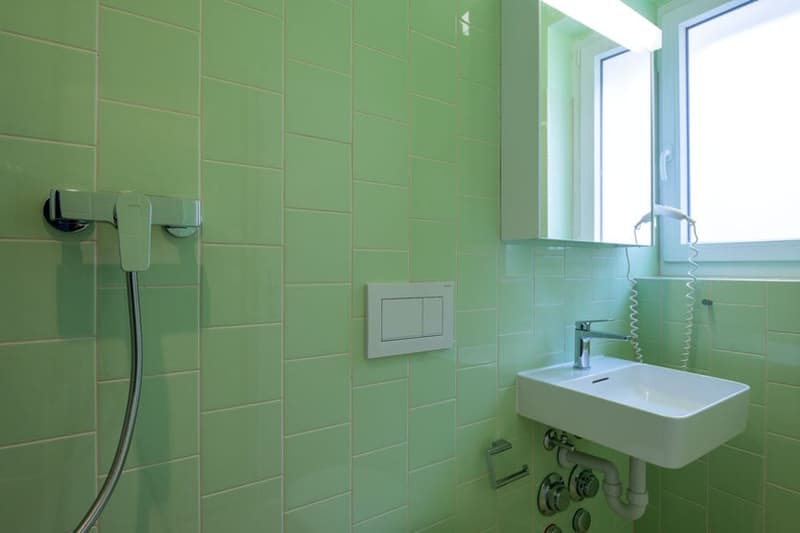 Green tiled walls, white sink, shower head, and toilet flush button