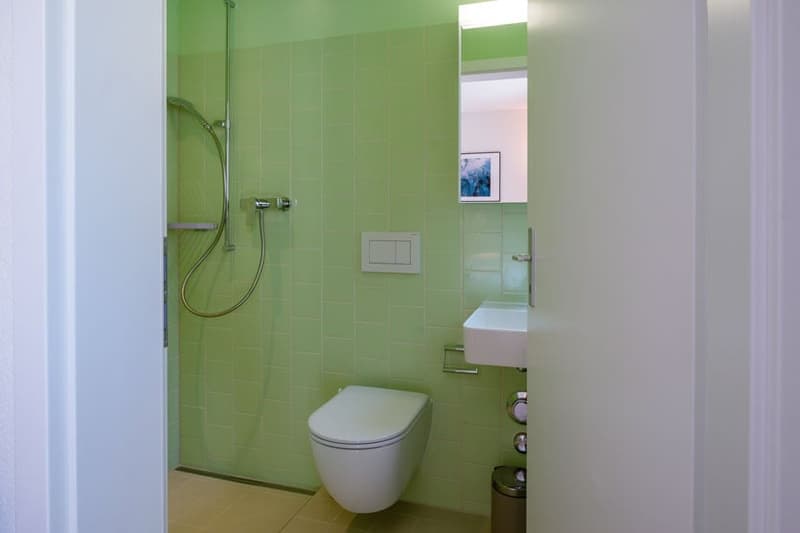 Green tiled bathroom with a toilet, sink, and shower area