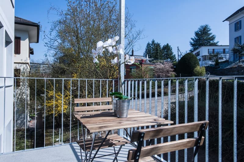 Wooden deck with metal railing, potted plant, overlooking trees and buildings