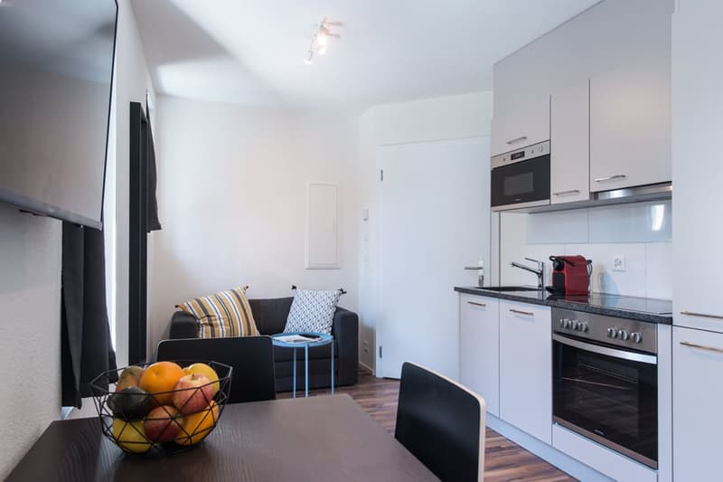Open-plan studio apartment with kitchen, living area, and dining space. The kitchen features modern appliances including a dishwasher. The living area has a sofa and a coffee table, and the dining area has a table with chairs. The apartment has a clean, m