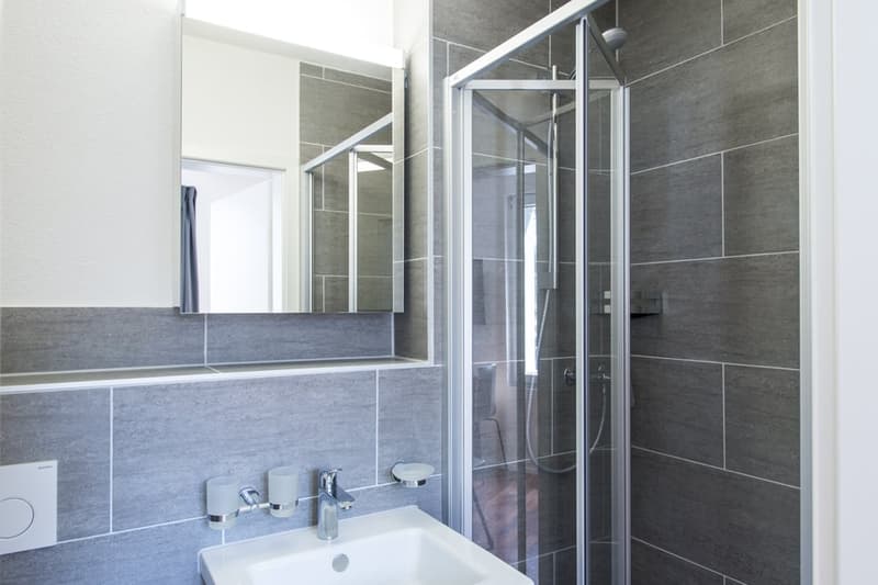 Modern bathroom with gray tile walls, glass shower enclosure, vanity with sink, and mirror
