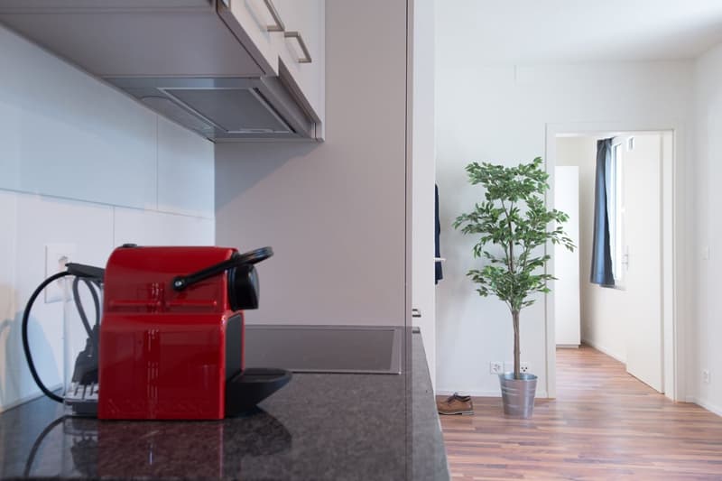 Modern kitchen with gray cabinets, stainless steel appliances, and a red coffee machine on the granite countertop. A potted plant is visible in the hallway beyond the kitchen.
