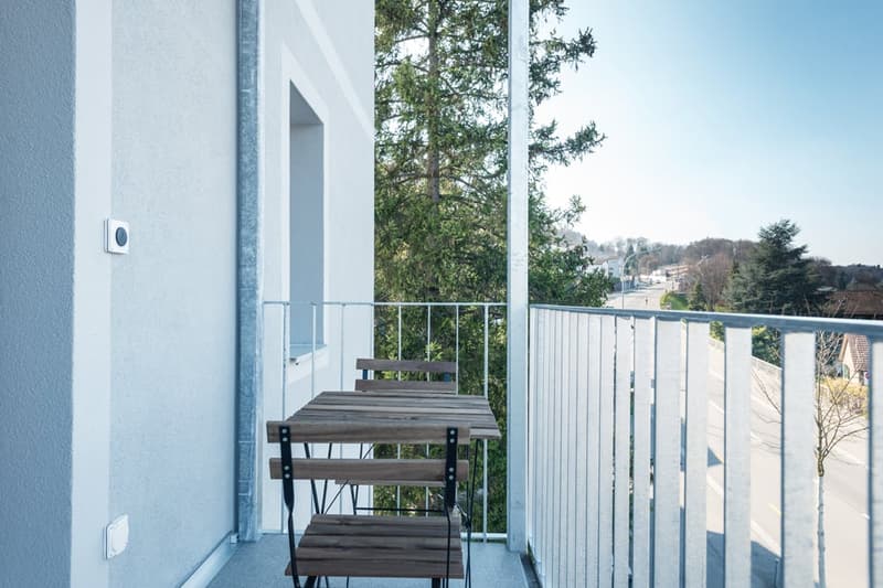 Wooden balcony with metal railing, overlooking a forested area with trees and a distant view of buildings