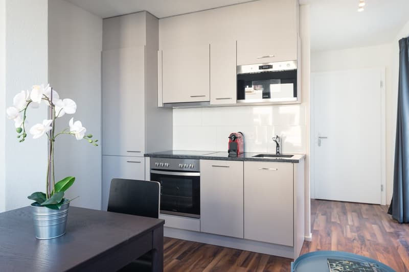 Modern kitchen with white cabinets, black countertop, built-in oven, and dishwasher. Hardwood flooring and an orchid plant add a touch of nature to the space.