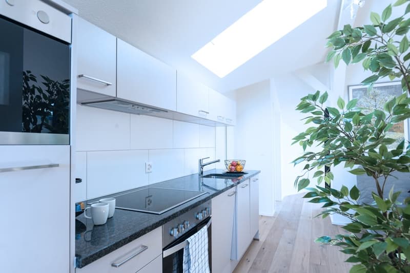 Helle 3 Zimmer Dachwohnung mit Aussicht in Zürich Wiedikon (11)