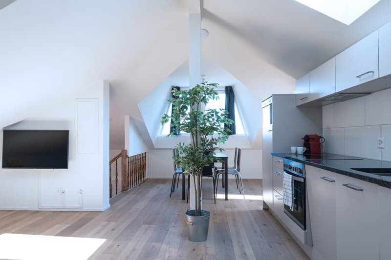 Helle 3 Zimmer Dachwohnung mit Aussicht in Zürich Wiedikon (3)