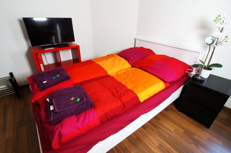 Gemütliches Studio-Apartment in Zürich-Oerlikon (13)