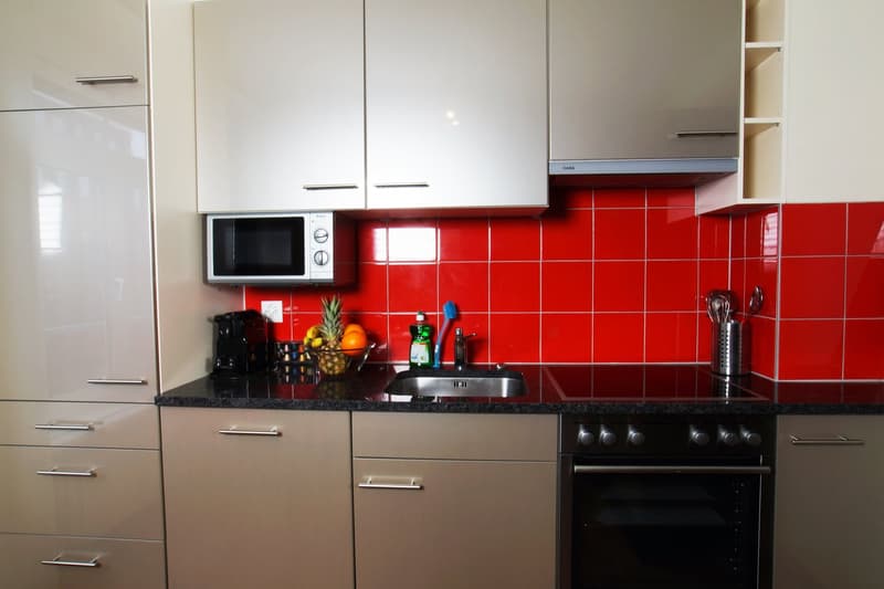 Gemütliches Studio-Apartment in Zürich-Oerlikon (3)