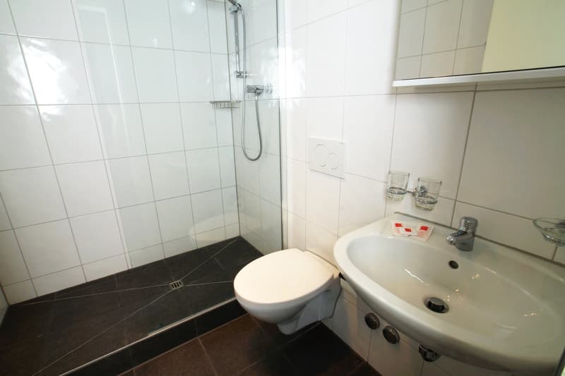 Gemütliches Studio-Apartment in Zürich-Oerlikon (8)