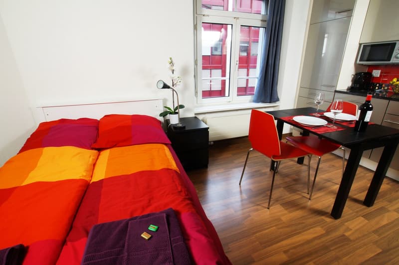 Gemütliches Studio-Apartment in Zürich-Oerlikon (7)