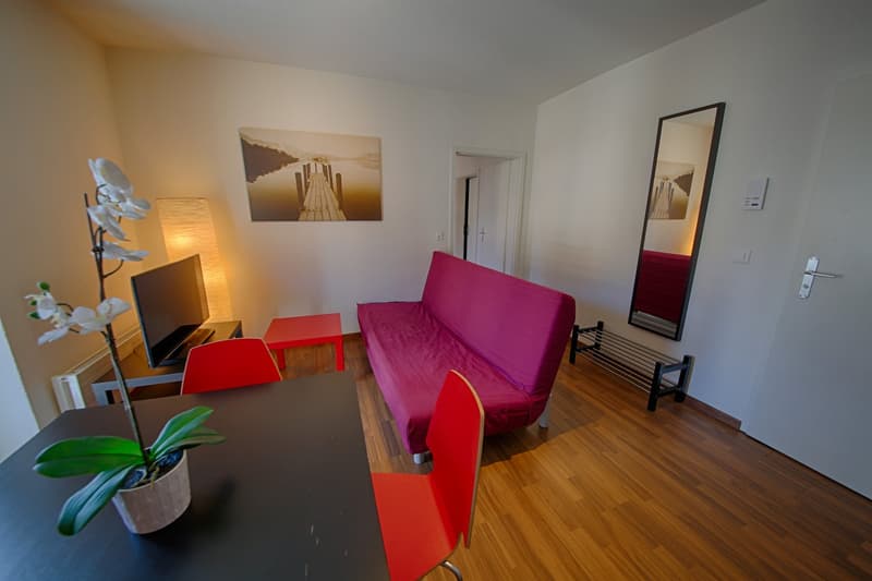 Spacious living room with hardwood floors, white walls, large windows, pink sofa, red coffee table, and decorative artwork on the walls. The room also features a potted plant and a full-length mirror.