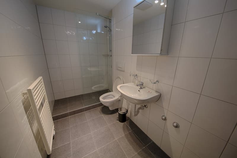 Tiled bathroom with a shower enclosure, toilet, and sink. The bathroom has a clean, modern design with white tiles and dark gray accents.