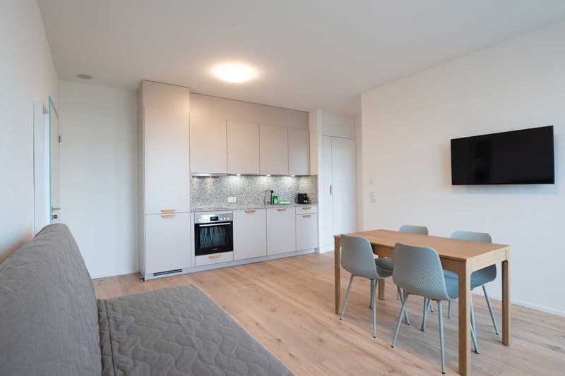 Open-plan living room and kitchen, with white cabinets, built-in appliances including a dishwasher, wooden dining table and chairs, and hardwood flooring throughout.