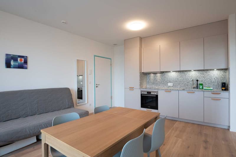 Open-plan living room and kitchen, hardwood floors, gray sofa, wooden dining table with 4 chairs, built-in kitchen cabinets with granite countertop, oven and dishwasher