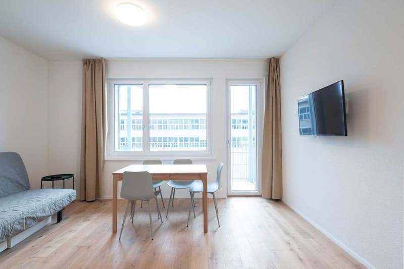 Spacious apartment with large windows, hardwood floors, dining table, chairs, and a TV mounted on the wall. The apartment has a balcony or terrace visible through the windows.