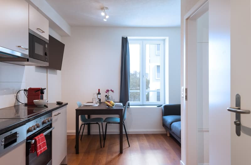 Charmantes möbliertes 2 Zimmer-Apartment mit Balkon in Zürich-Altstetten (2)