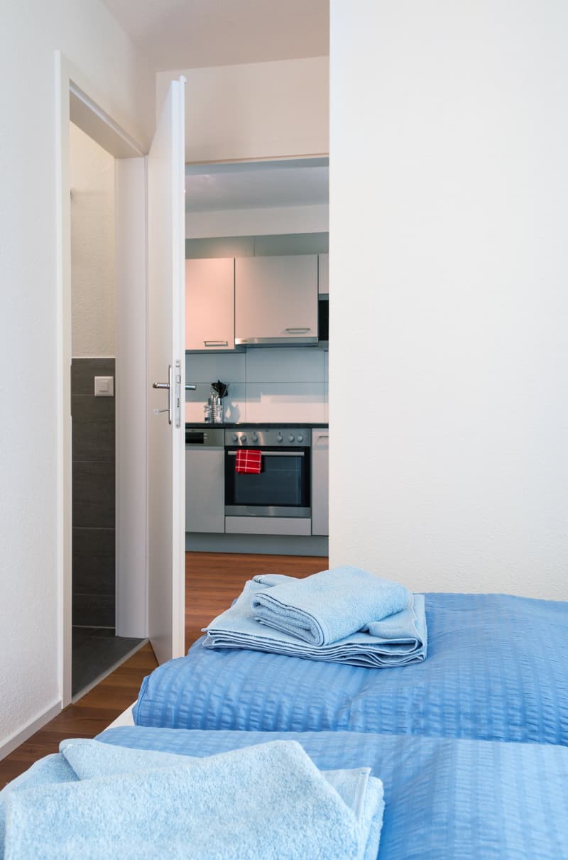 Charmantes möbliertes 2 Zimmer-Apartment mit Balkon in Zürich-Altstetten (3)