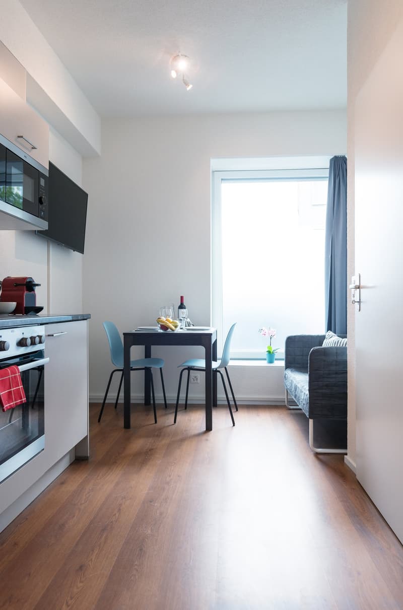 Charmantes möbliertes 2 Zimmer-Apartment mit Balkon in Zürich-Altstetten (8)