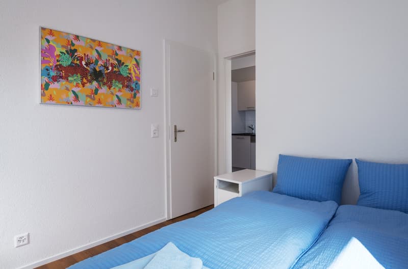 Charmantes möbliertes 2 Zimmer-Apartment mit Balkon in Zürich-Altstetten (5)